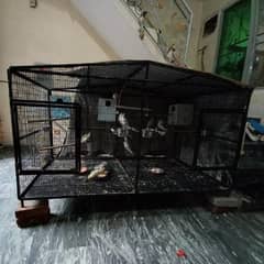 heavy iron cage