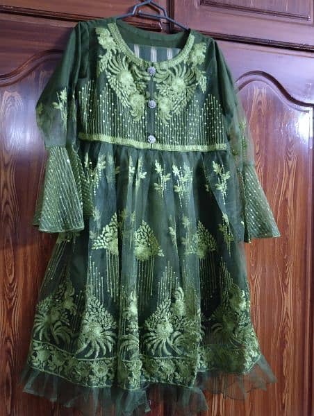 Net  embroidery frock 0