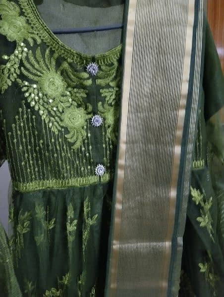 Net  embroidery frock 1