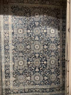 rugs/carpet