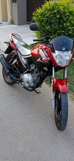 Yamaha ybr shop olx