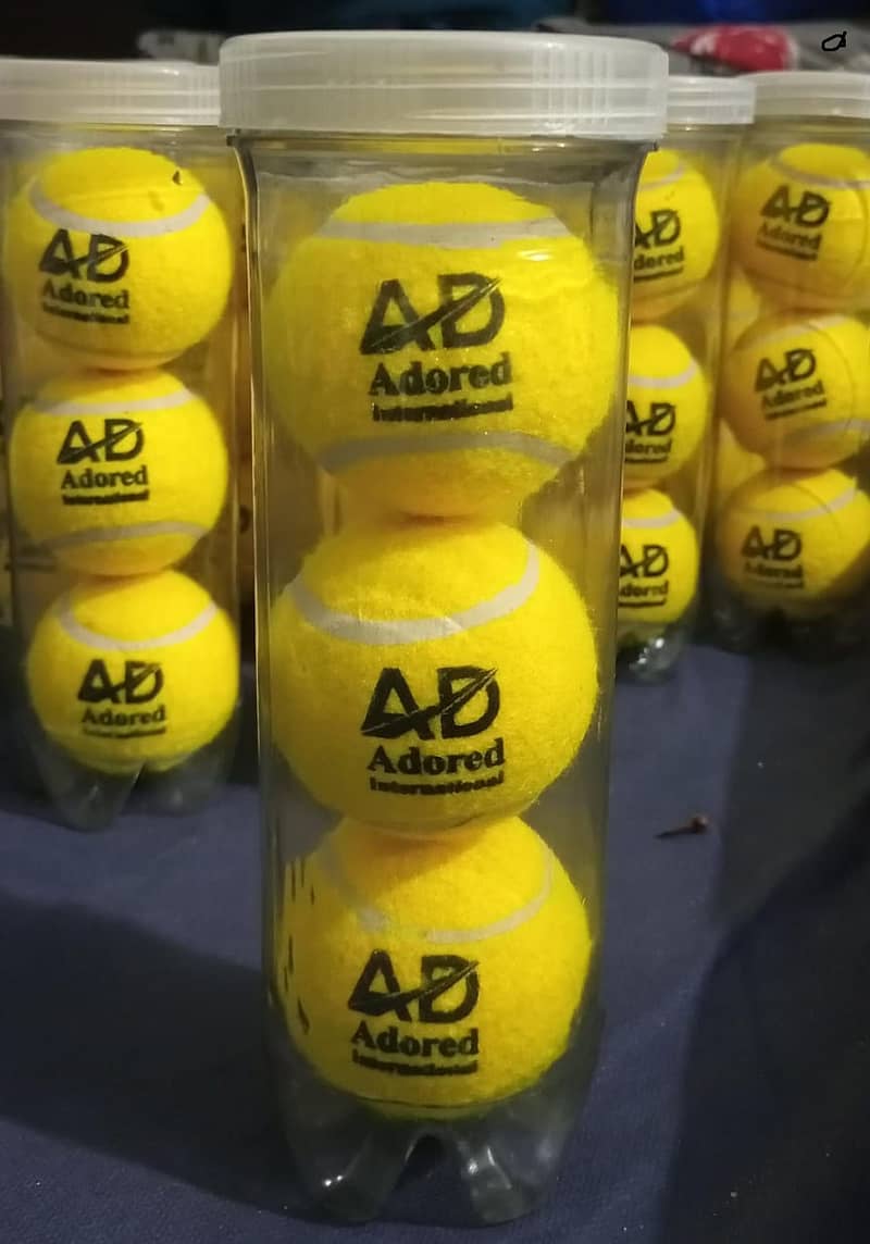 24Pcs Tennis Balls Sports Outdoor Training Play Fun Cricket Beach Dog 6