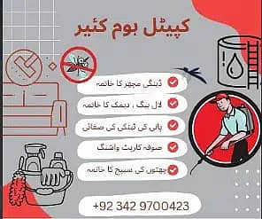 Dengue/ Fumigation spray/ sofa & water tank cleaning 1