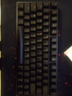 ykeyboard with steelseries rival 300s