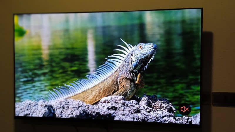 NEW BUY 32 INCHES SMART LED TV WITH FREE WALLMOUNT 2