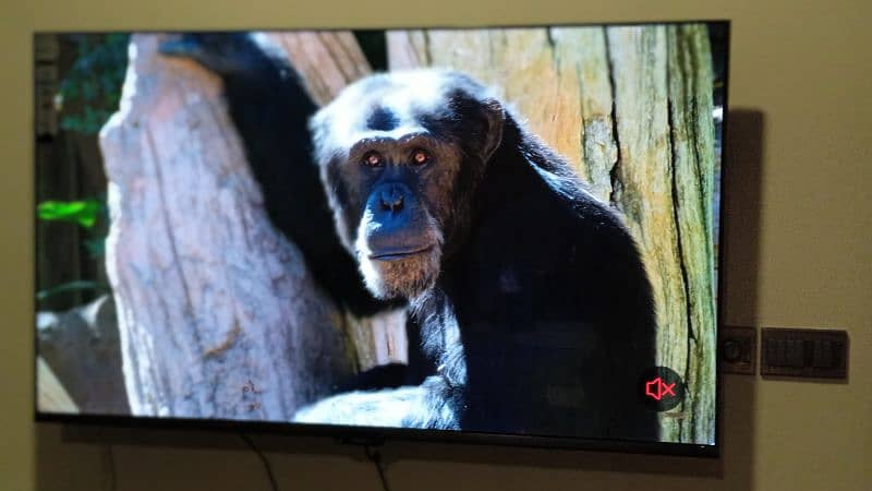 NEW BUY 32 INCHES SMART LED TV WITH FREE WALLMOUNT 3