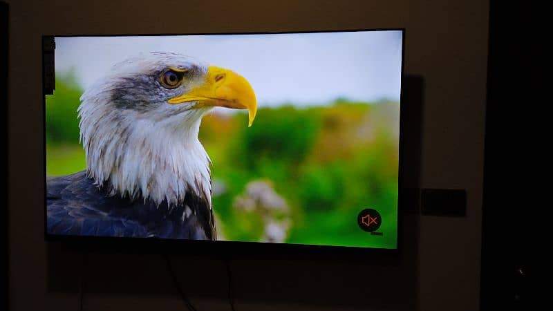 NEW BUY 32 INCHES SMART LED TV WITH FREE WALLMOUNT 5