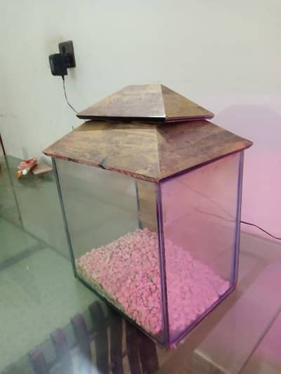 Fish Aquarium for sale.