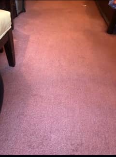 carpet good condition