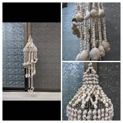 Sea shells hanging