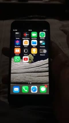IPhone