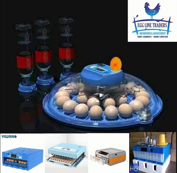 imported incubator 12 v 220 wat available 2