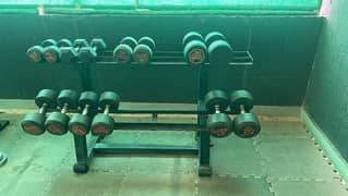 Dumbell rack, Dumbells, plates and benches