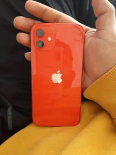 Iphone 12 Red Product New 0