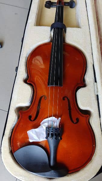 Violin 4×4 new 1
