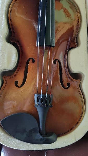 Violin 4×4 new 3