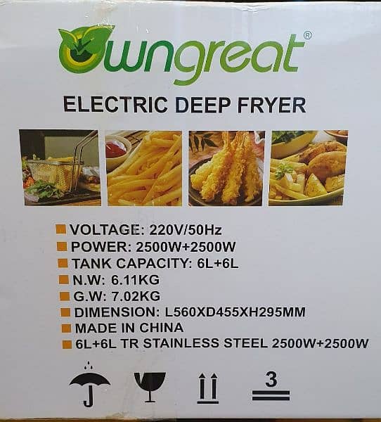 Double Electric 12L Deep Fryer FriesMachine for commercial use Importd 7