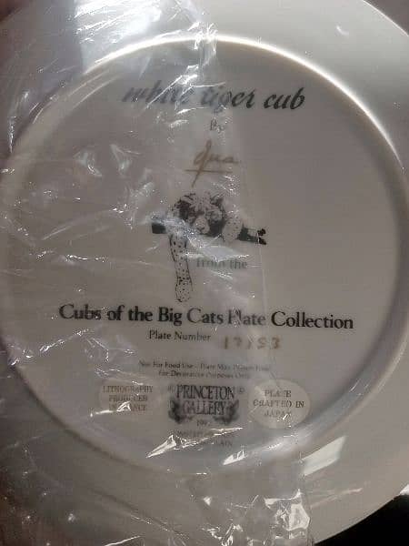 imported decorative plates 2