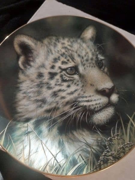 imported decorative plates 5