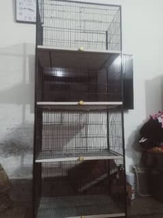 birds cage