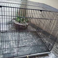 cage for sale/ folding cage raw cage/hen cage