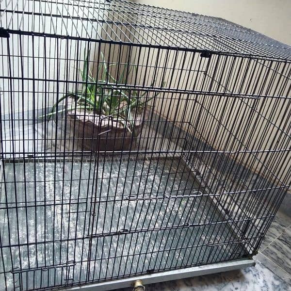 cage for sale/ folding cage raw cage/hen cage 0