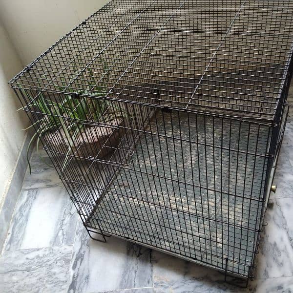 cage for sale/ folding cage raw cage/hen cage 2