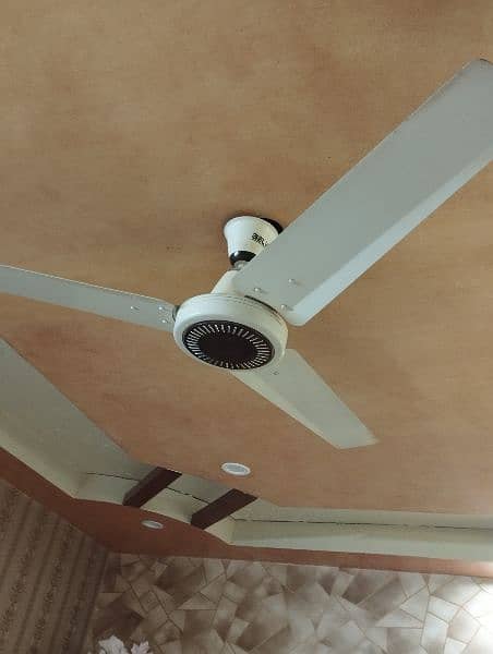 CEILING FANS 100 % Copper winding 2