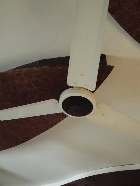 CEILING FANS 100 % Copper winding 3