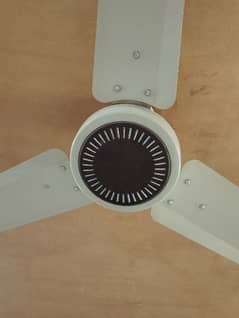 CEILING FANS 100 % Copper winding