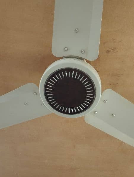 CEILING FANS 100 % Copper winding 0