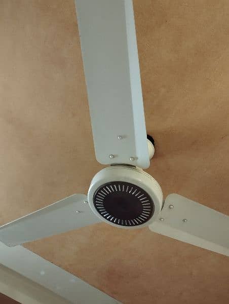 CEILING FANS 100 % Copper winding 1