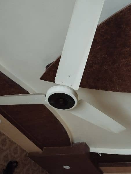 CEILING FANS 100 % Copper winding 7