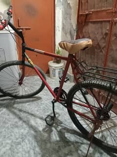 Geniune Phoenix Bicycle (Gears)