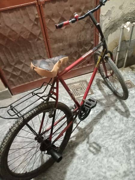 Geniune Phoenix Bicycle (Gears) 1