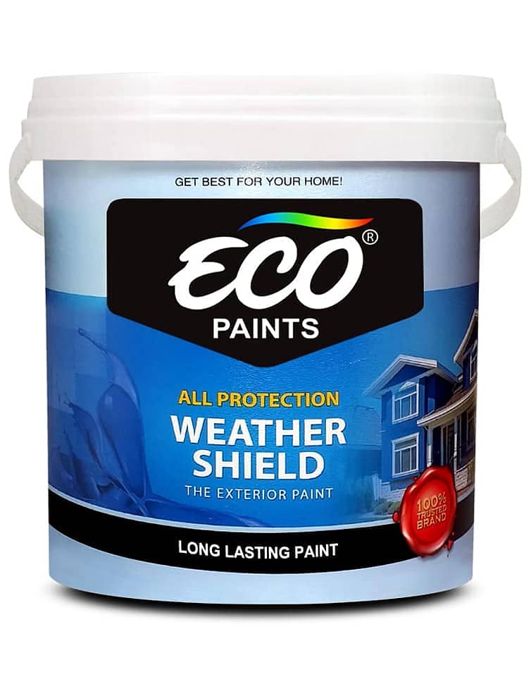 PAINTER  AND  BUILDING  PAINT /  DOOR  POLISH 5