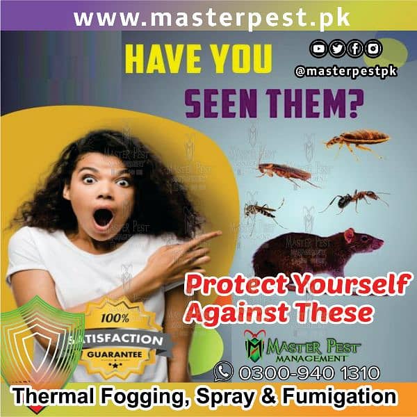 termite(دیمک ) control pest control Dengue Spray and Fumigation 2