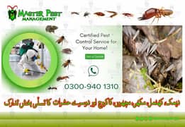 Deemak Control Pest Control Dengue Spray and Fumigation 0