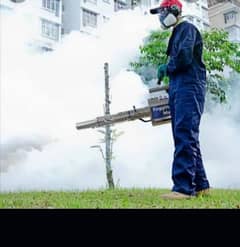 fumigation services | pest control | fogging spray | deemak & dengue