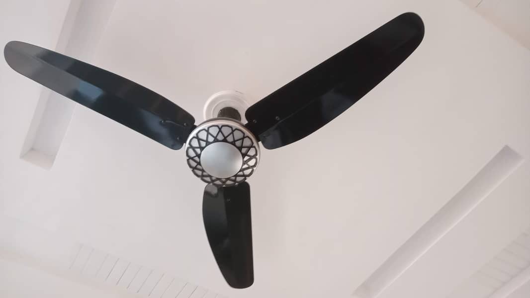 Ceiling Fans For Sale 0