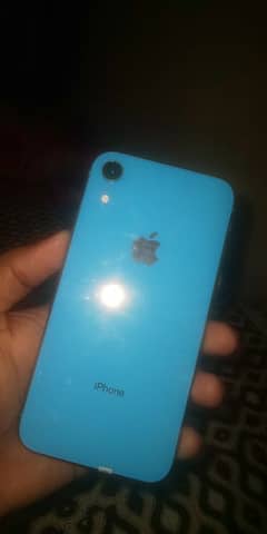 iPhone XR in Blue colour