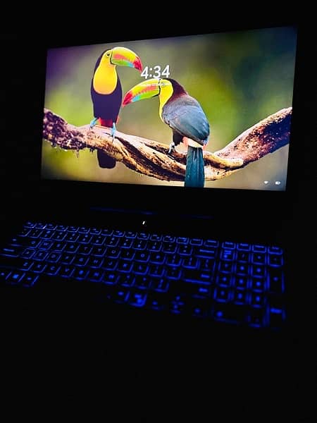 Dell G5 Gaming Laptop Ci7-9750H Nvidia GTX 1650 9