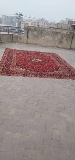 Irani hand knotted carpet. 0