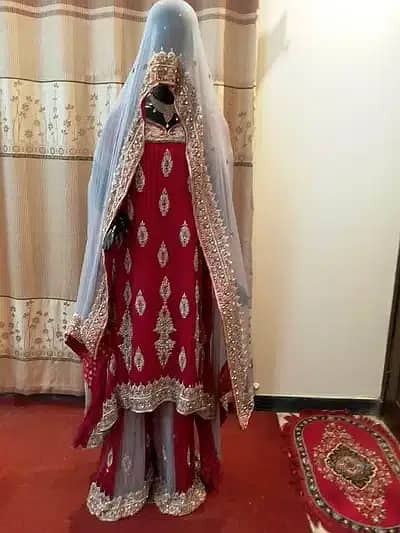 BEAUTIFUL Wedding(Shadi) Dress Red Color & Golden Color Combination 2