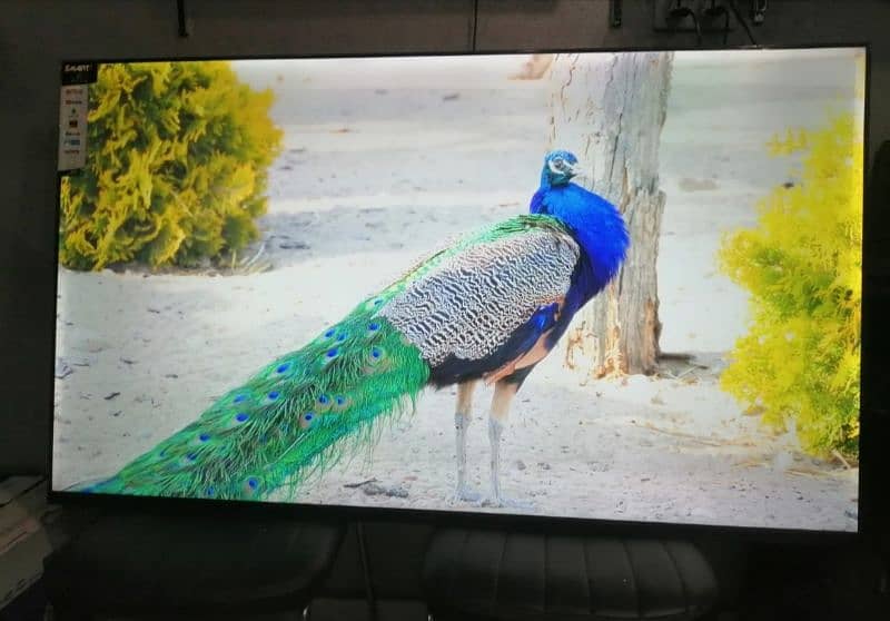 65 INCH Q LED TV SAMSUNG 4K UHD IPS DISPLAY 3 YEAR WARaNTY 03221257237 1