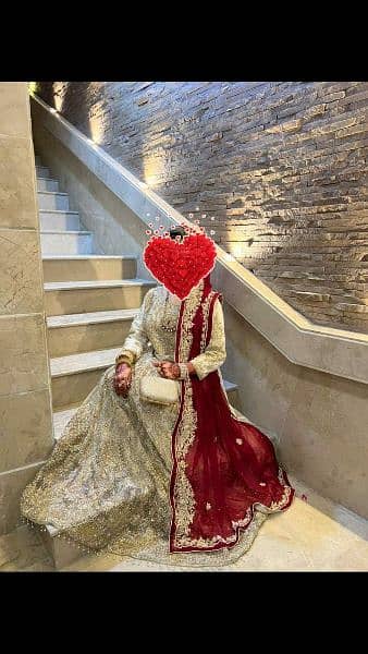 shades bridal dress in marun and ash clr 2