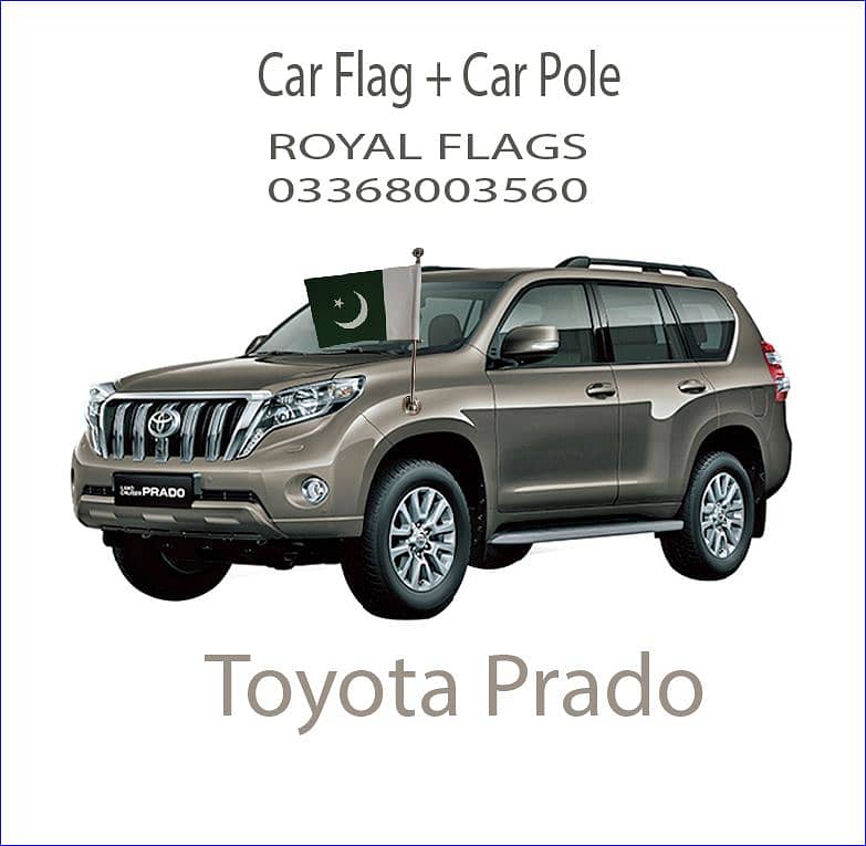 Car Flag pole for & Pakistan Flag for car 3