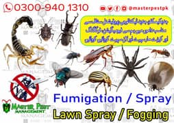 Termite Control Pest Control Dengue Spray and Fumigation
