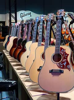 Acoustic bignners professhional guitars Violins Ukuelels Musical store