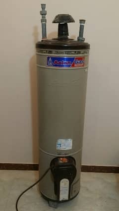 Geyser 30 Gallon